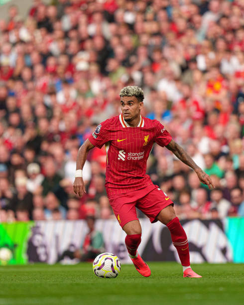 的小幸福 的小幸福