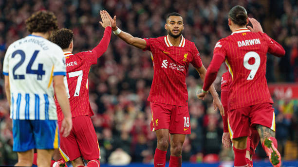 万余条违规 万余条违规