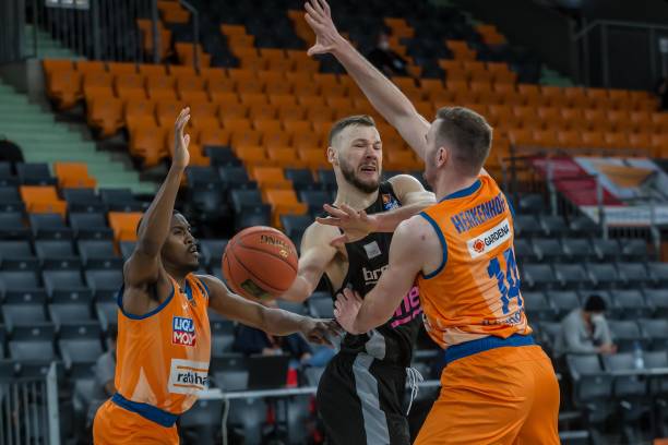 以前五号种 以前五号种